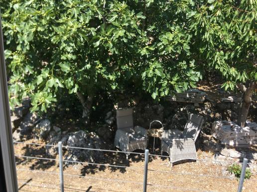 ROSSO Sitzplatz unter'm Feigenbaum