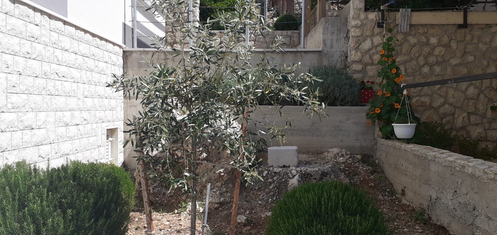 Mai 2020 ~ Garten Ost VERDE