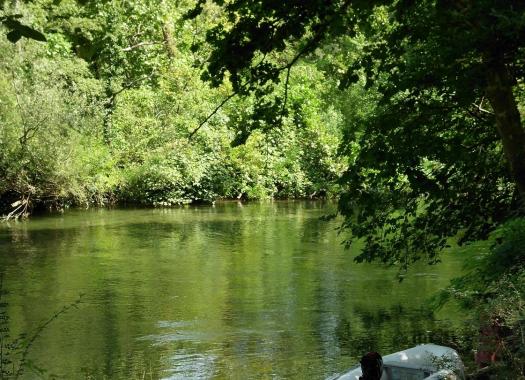 Cetina im Sommer 