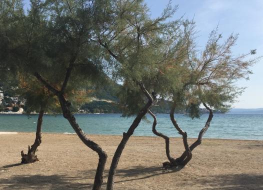 Schattenplatz am Strand